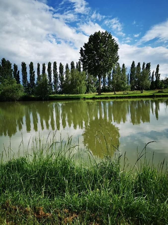 L'Oasis Des Dombes Hotel Ambérieux-en-Dombes Екстериор снимка